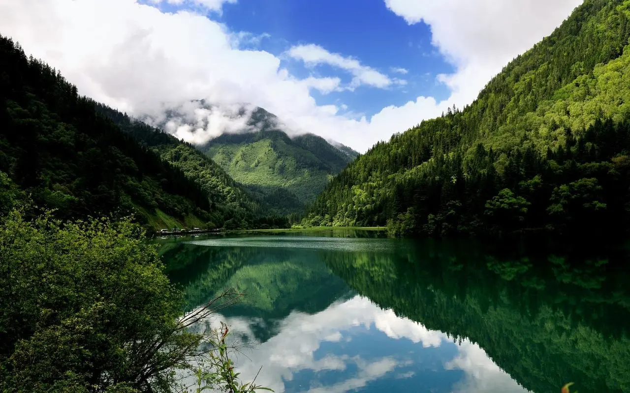 高精度电子高端